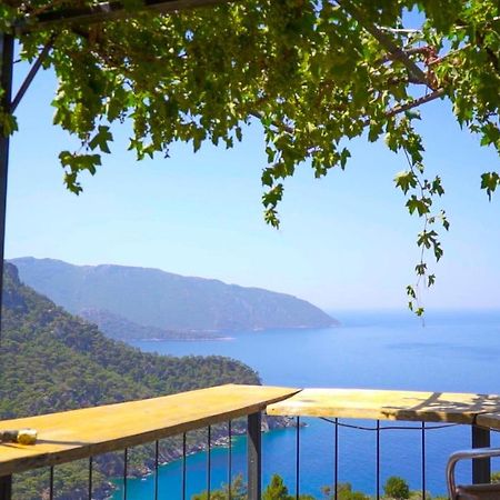 Kabak Mamma'S Pension Restaurant & Terrace Bar フェティエ エクステリア 写真