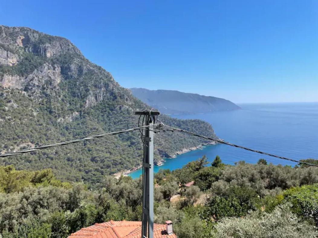 Kabak Mamma'S Pension Restaurant & Terrace Bar フェティエ エクステリア 写真