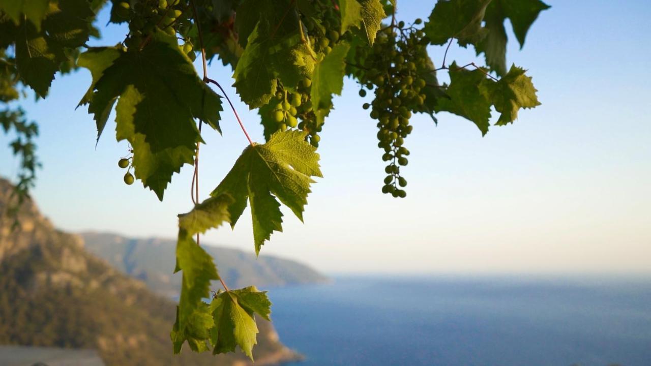 Kabak Mamma'S Pension Restaurant & Terrace Bar フェティエ エクステリア 写真